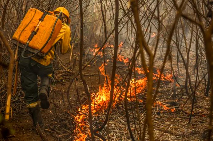 Crédito extraordinário para o combate aos incêndios